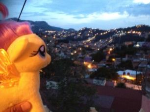 My Little Pony takes in the view from our balcony